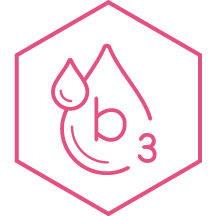 維生素 B3
